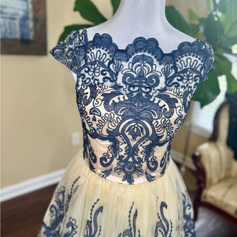 Chi Chi London Size 8 Lace and Sheer Fit-and-Flare Dress in Beige and Navy / NWT